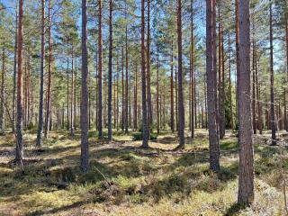 7 person holiday home in JÄRNA - 9