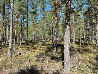 7 person holiday home in JÄRNA - 7