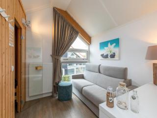 Zeeland Luxury Villa near Beach - 1