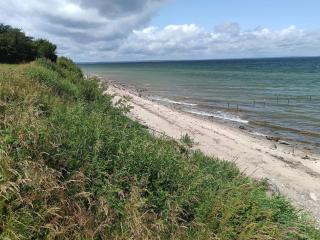 12 person holiday home in Nordborg - 5