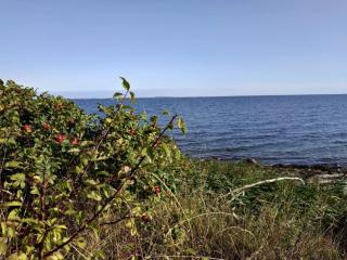 12 person holiday home in Nordborg - 4