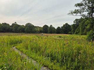 4 star holiday home in Hovborg-By Traum - 2