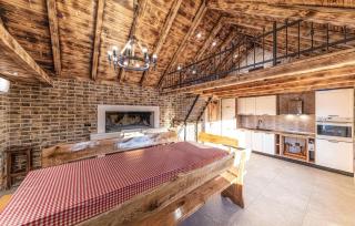 Amazing Home In Divojevici With Private Swimming Pool, Can Be Inside Or Outside - 7