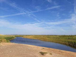 Secluded Haven in Thorup - 5