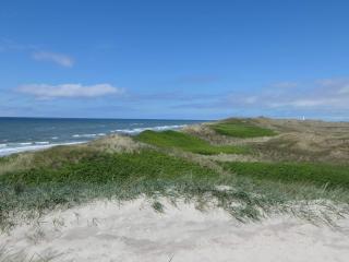 8 person holiday home in Ringkøbing - 5