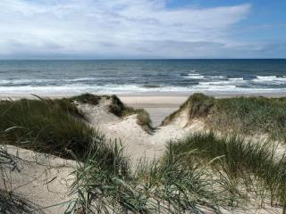 8 person holiday home in Ringkøbing - 4