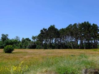 11 person holiday home in Væggerløse-By Traum - 9