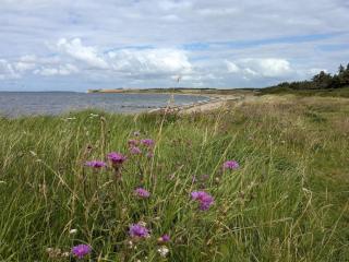 Cosy holiday home near Limfjorden - 5