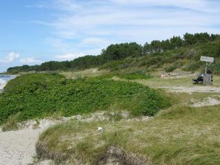 Modern Cedar Cottage near Beach - Hasle - 6