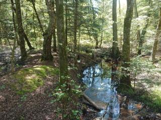 Secluded Pool Retreat - By Traum Ferienwohnungen - 7