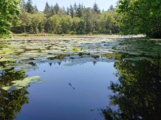 Secluded Pool Retreat - By Traum Ferienwohnungen - 2