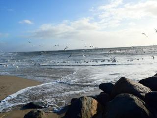 Seaside Oasis in Blavand - 1
