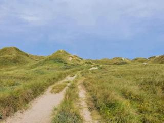 4 star holiday home in Ulfborg - 7