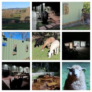 Highbird B&B - 3