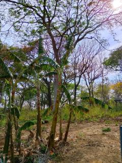 Finca Cazzanica - 3