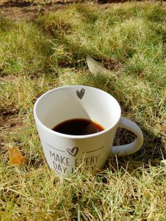 Finca Cazzanica - 4
