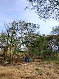 Finca Cazzanica - 2