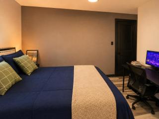 Modern Home, 2 Rooms for Professionals and Families - 3