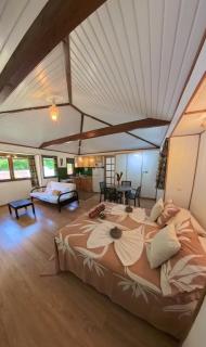 Faré Tropical Moorea- Jardin Tropical -Clim -Wi-Fi Gratuit - 5
