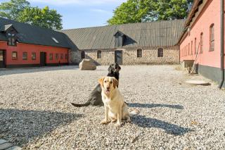 Lovely House With Pool Near Charming Aarhus - 6