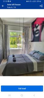 Aste loft maja - 1