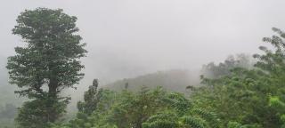 Parudeesa home stay peechi - 5