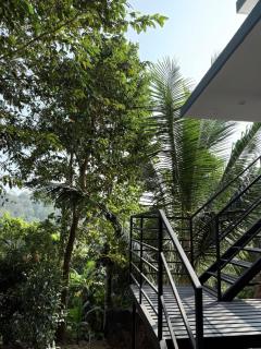 Parudeesa home stay peechi - 4