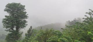 Parudeesa home stay peechi - 2