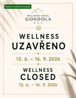 Wellness Hotel Gondola - 8