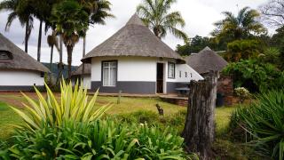 Magoebaskloof Mountain Lodge - 0