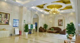 Vienna Hotel Shenzhen Bao'an Airport Taoyuanju Pingluanshan Metro Station - 5