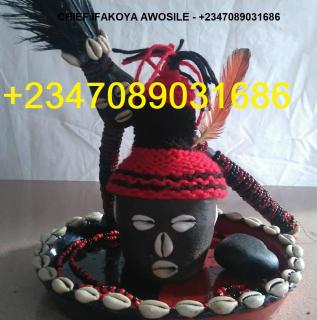 The most powerful native doctor in Nigeria - 0