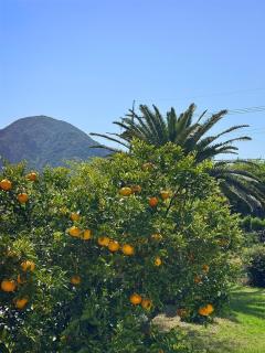 Jeju Sorang Stay - 8
