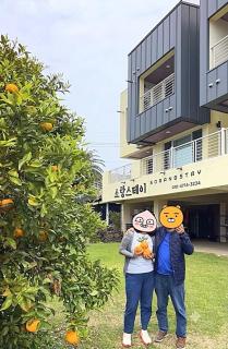 Jeju Sorang Stay - 0