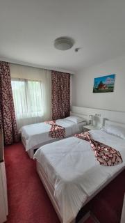 Pensiunea Casa Bosneanu - 1