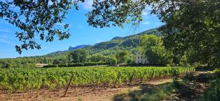Domaine la Boucharde - Appartement L'Aurélien - Entre vignes et forêt - 8