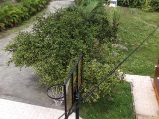 Bungalow cerise - 9