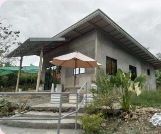 Lumbayan Holiday Home - 3