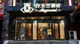 Magnotel Shenyang Consulate Qingnian Street - 4