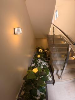 VEVE Courts - 2