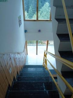 The Woodstock Hotels and Vilaa by Yellow Flower with Free Parking - 3