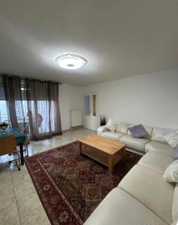 Spacieux appartement 4 pièces à Souffelweyersheim, proche de Strasbourg - 9