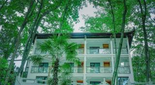 Zunbo Forest resort hotel - 2