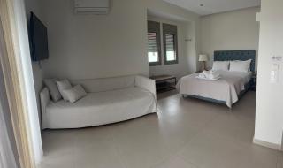 Luminous Luxury Apartments - 4