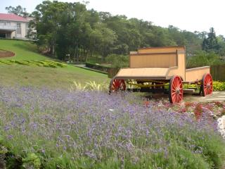 West Lake Resortopia - 3