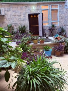 Old Town Patio Apartments - 0