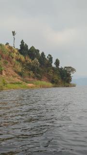 Twin Lakes Island Homestay - 9