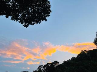 Ella Cloud View Homestay - 1
