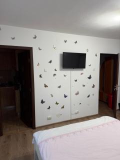 Studio - 5