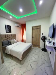 Luxury 3 Bedroom Apartment with Pool Gym PS5 and 24 Hours Light Lekki - 5